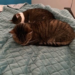 TWO DAYS ONLYYYY!!!!!!!!!